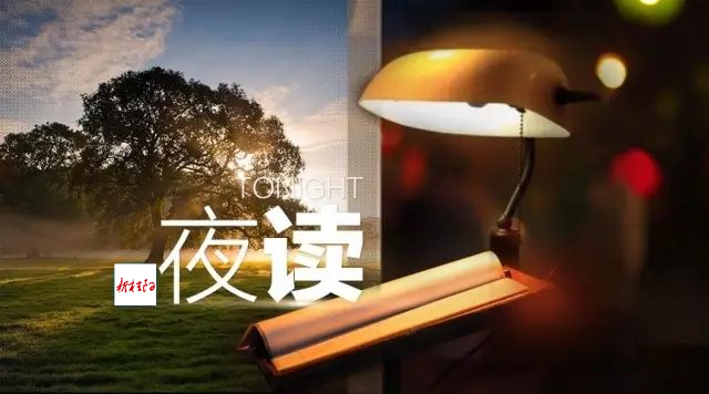 主播夜读：遇见不必在最美的年华