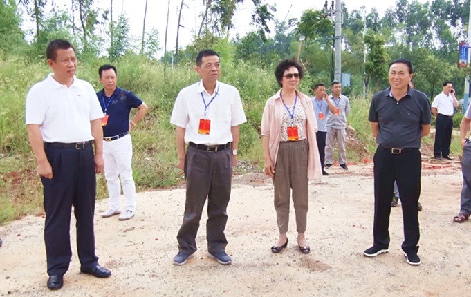 驻郴人大代表来我县专题视察东江引水二期工程（桂阳段）建设情况