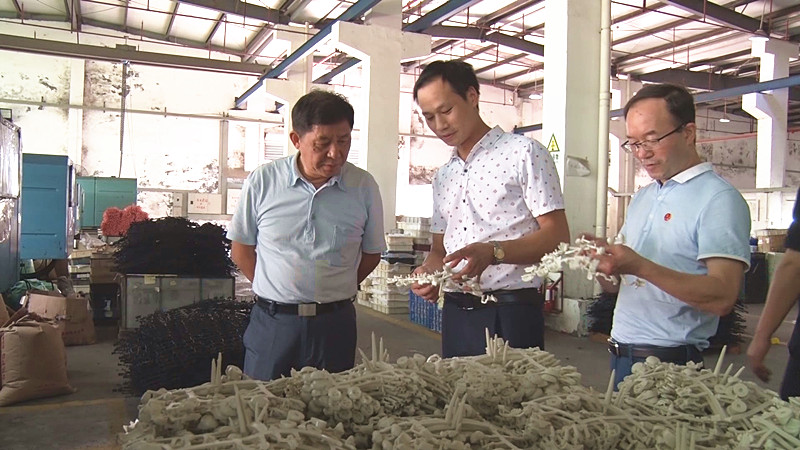 湖南省外贸补短板专题调研组到我县调研