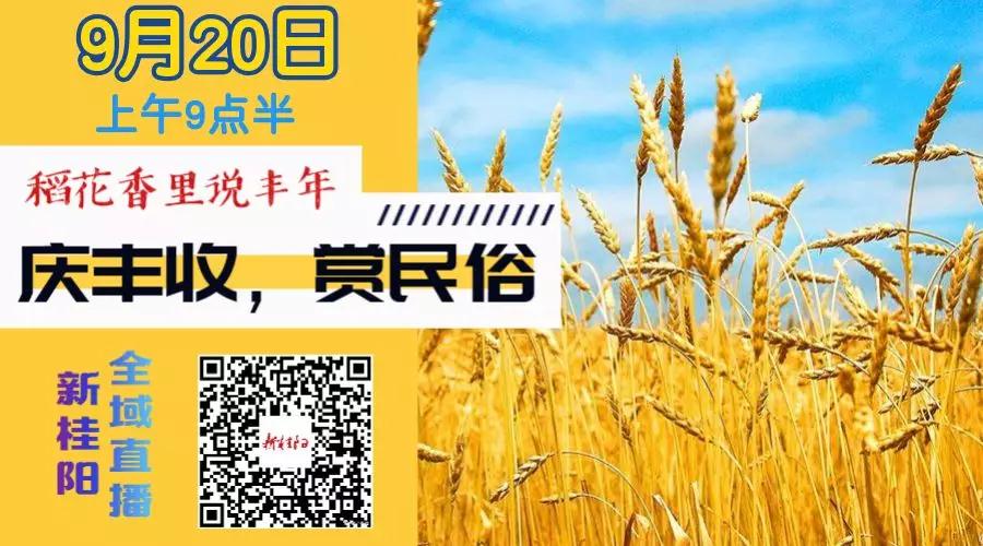 稻花香里说丰年  庆丰收  赏民俗直播推文