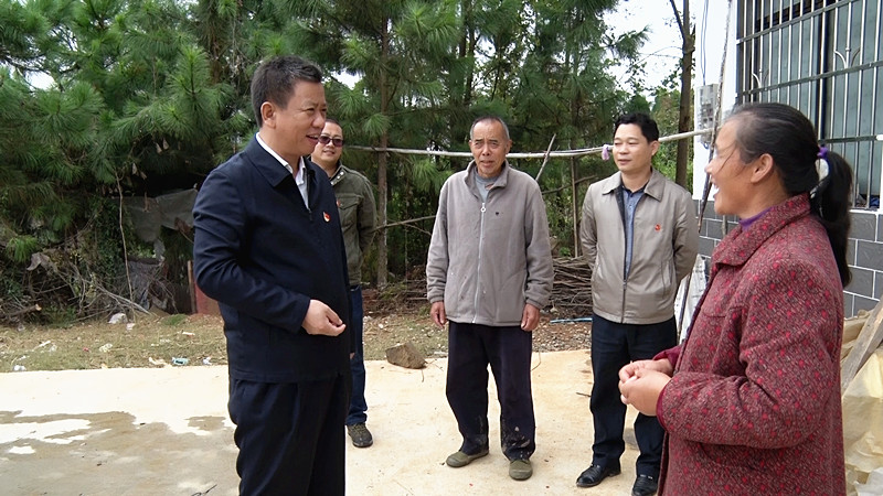 彭生智到流峰镇调研基层党建、脱贫攻坚等工作