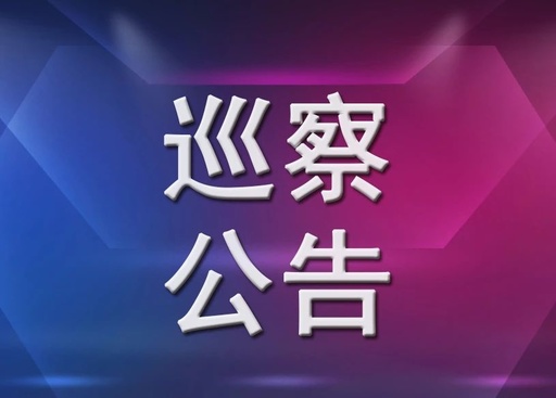 中共十二届桂阳县委第六轮巡察公告