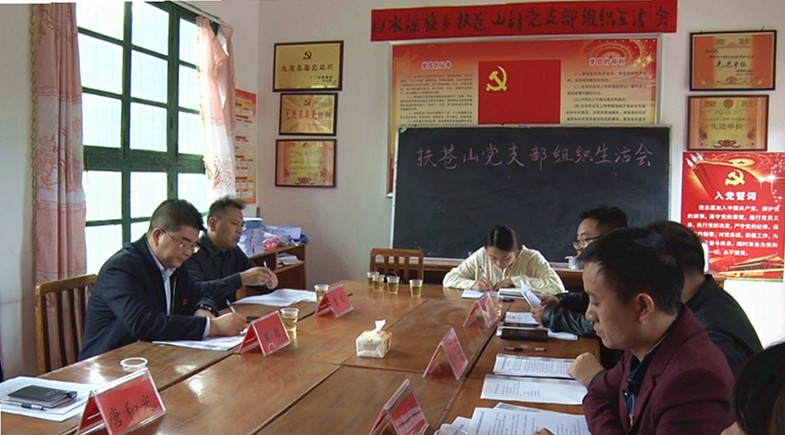 县领导到联系点参加村党支部组织生活会