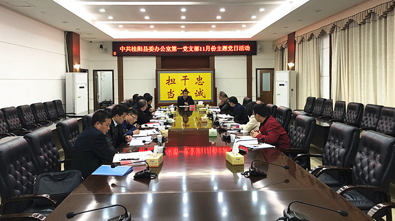 彭生智参加县委办第一党支部11月份主题党日活动