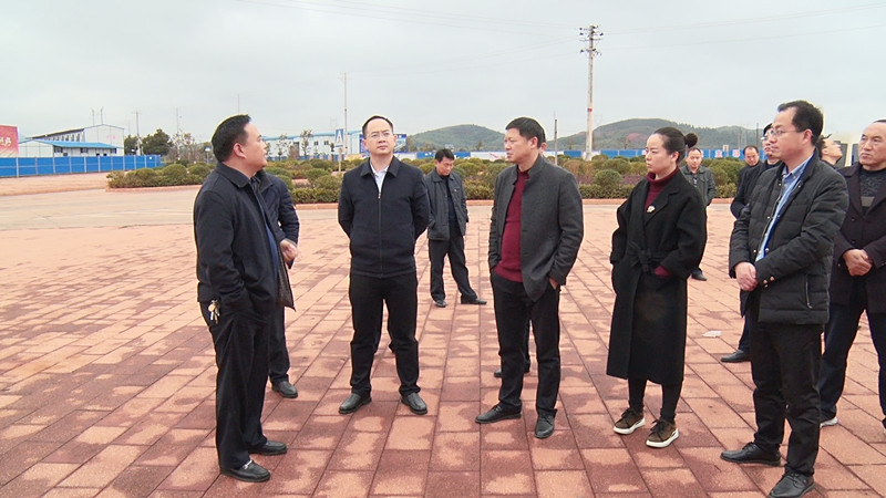 洪江市考察团来我县考察园区开发建设和招商引资等工作