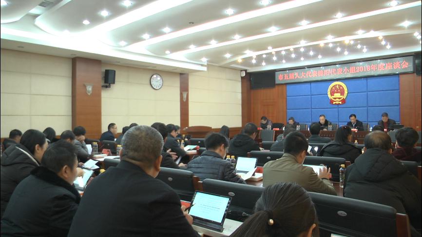 市五届人大代表桂阳代表小组2018年度座谈会召开