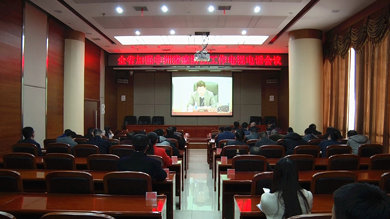 全省加强非洲猪瘟防控工作电视电话会议召开