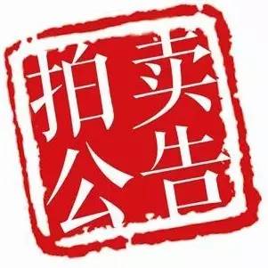 桂阳县行政事业单位国有资产拍卖公告