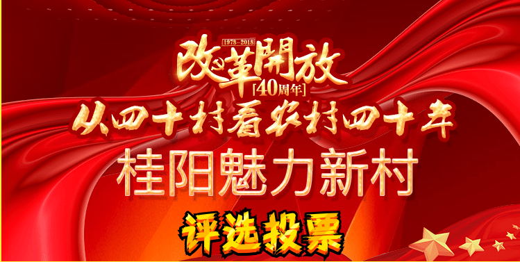 桂阳县魅力新村评选投票