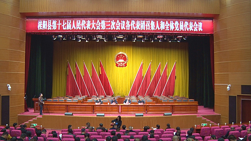 县十七届人大三次会议召开各代表团召集人和全体党员代表会议