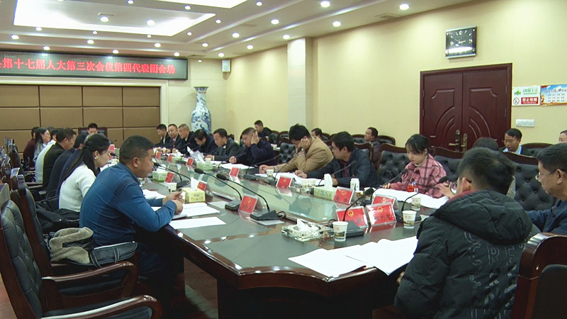 参加县十七届人大三次会议各代表团开展分组讨论