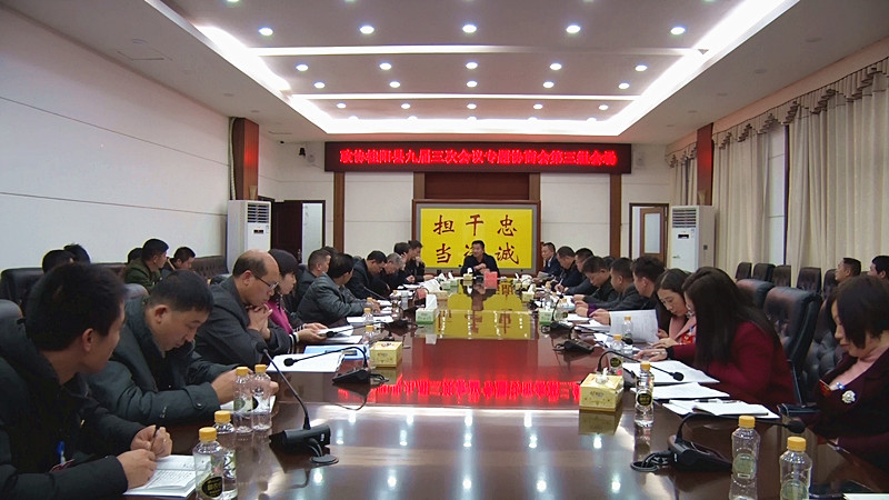 县政协九届三次会议进行专题协商 