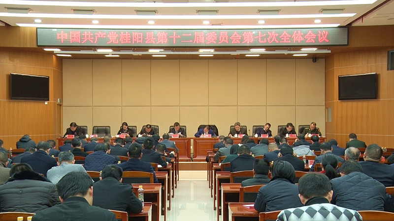 中国共产党桂阳县第十二届委员会第七次全体会议召开