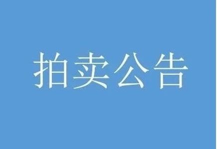 拍卖公告：体育路等路段商业铺面、商业地产拍卖  