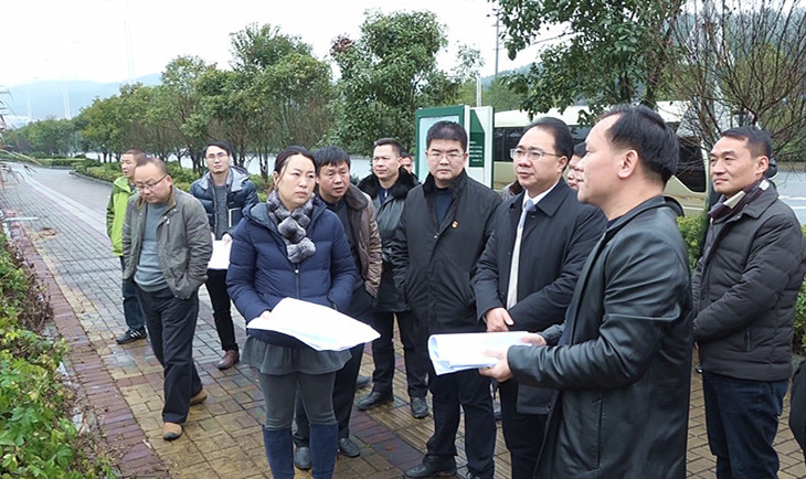 朱阳辉调研城区新建学校选址