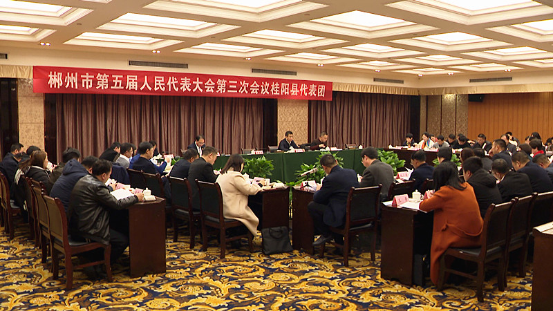  郴州市五届人大三次会议桂阳代表团开展分组讨论