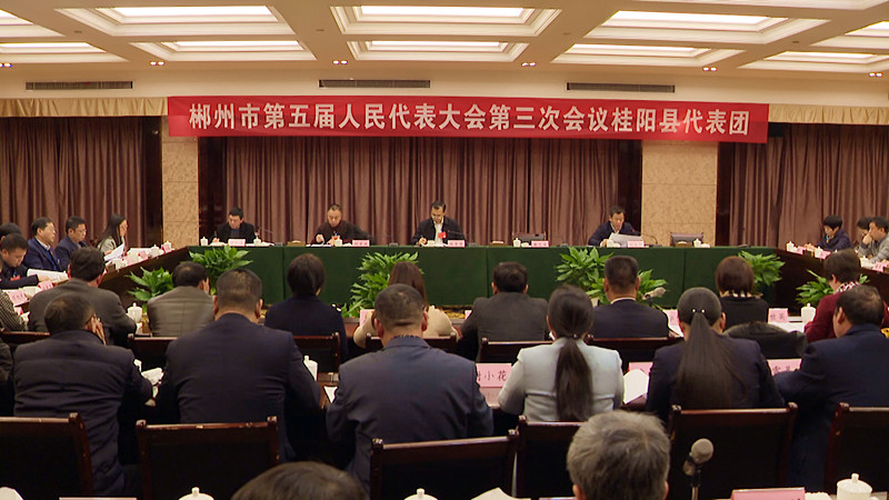 陈雪楚参加市五届人大三次会议桂阳代表团讨论