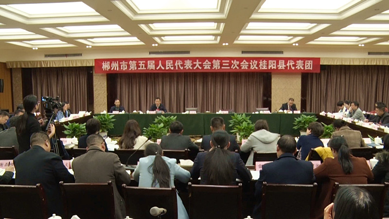 郴州市五届人大三次会议：桂阳代表团审议市人大常委会和“两院”工作报告
