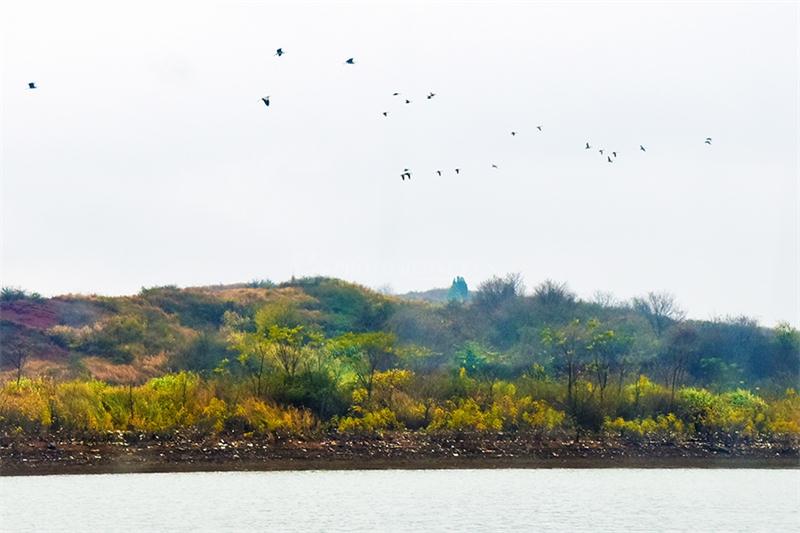 海事部门开展冬日巡河活动，守护青山绿水