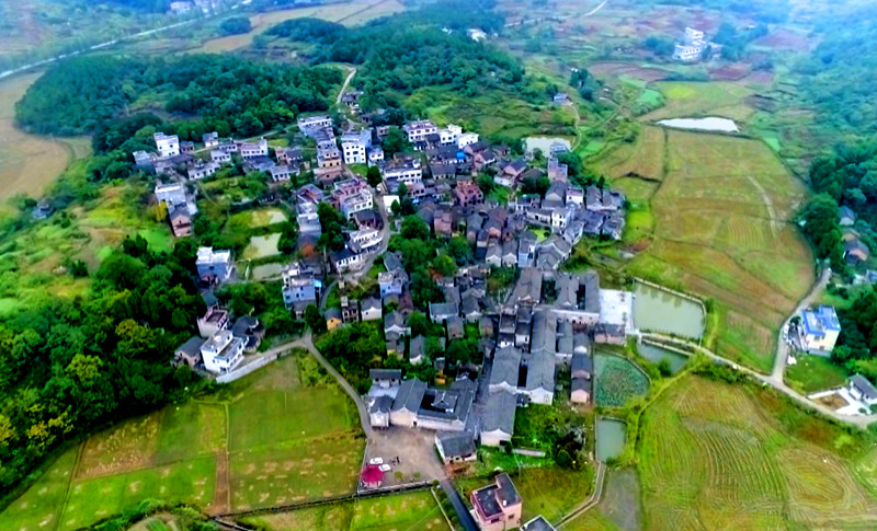 莲塘镇：特色农业“插上翅膀 飞出大山”