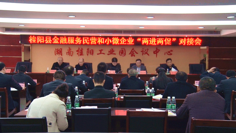 我县举行金融服务民营和小微企业“两进两促”对接会