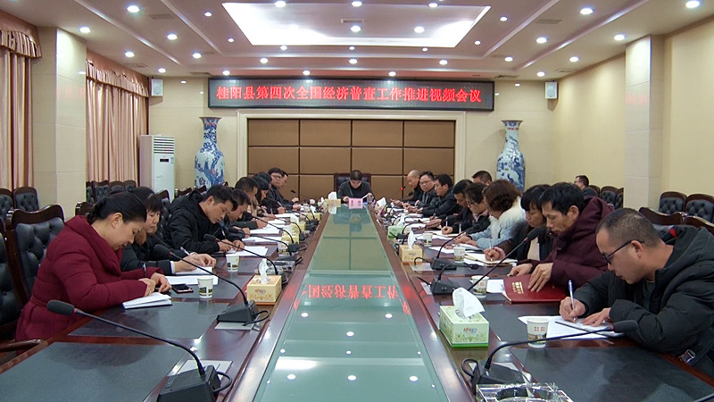 我县召开第四次全国经济普查工作推进视频会议