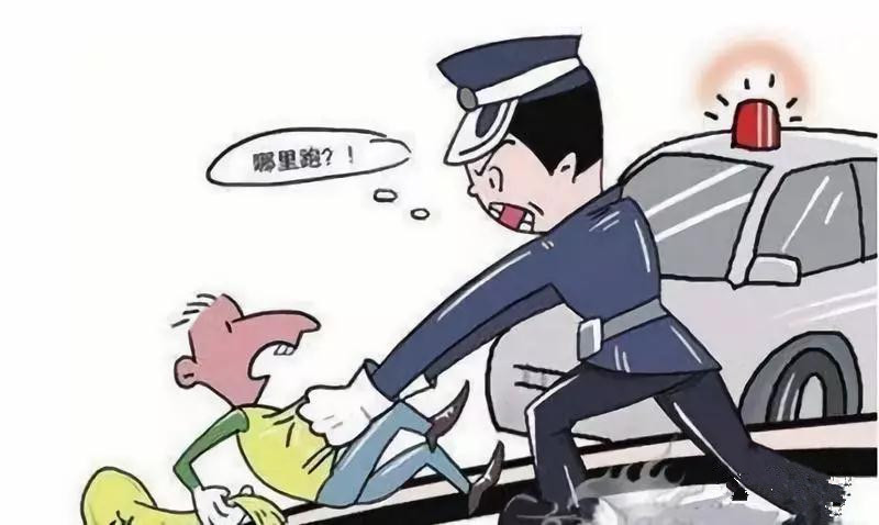 龙潭派出所成功破获一起入室盗窃案