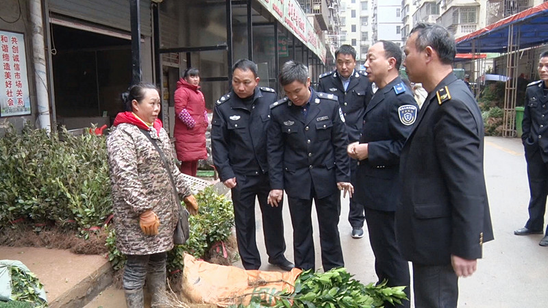 春耕备耕：县农业部门全面检查种苗市场