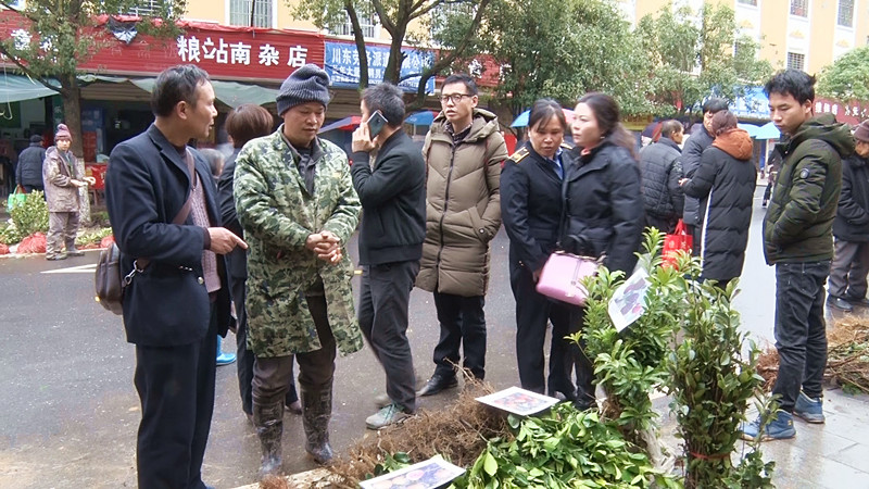 市县农业局开展柑橘种苗检疫联合执法行动