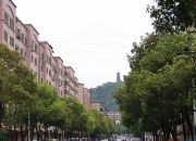 美丽城乡披绿装  展现魅力蓉城新画卷