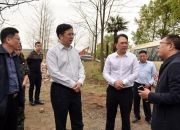 邹文辉来我县督导扫黑除恶、环境治理等工作