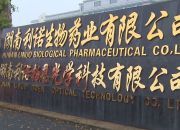 湖南利诺柏恩光学科技有限公司揭牌 