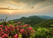 【每周一景】秀美泗洲山