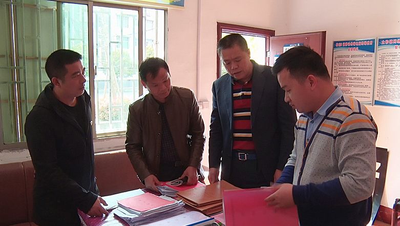 县领导到太和镇督查扫黑除恶工作