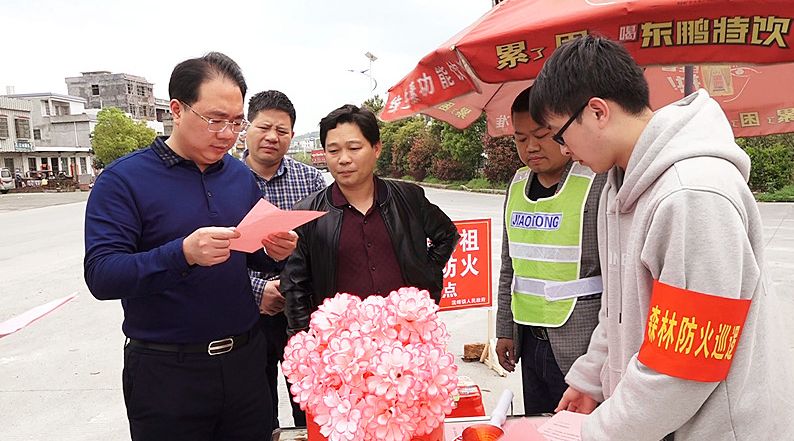 朱阳辉到流峰镇调研督导扫黑除恶、森林防火、“大棚房”整治等工作