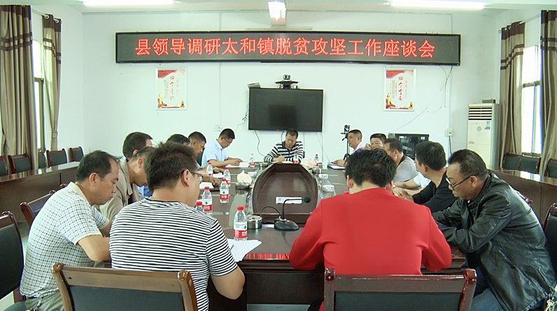 县领导到太和镇调研扫黑除恶、安全生产、脱贫攻坚等工作