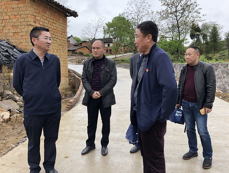 黄力调研乡镇“三大”攻坚行动开展情况 