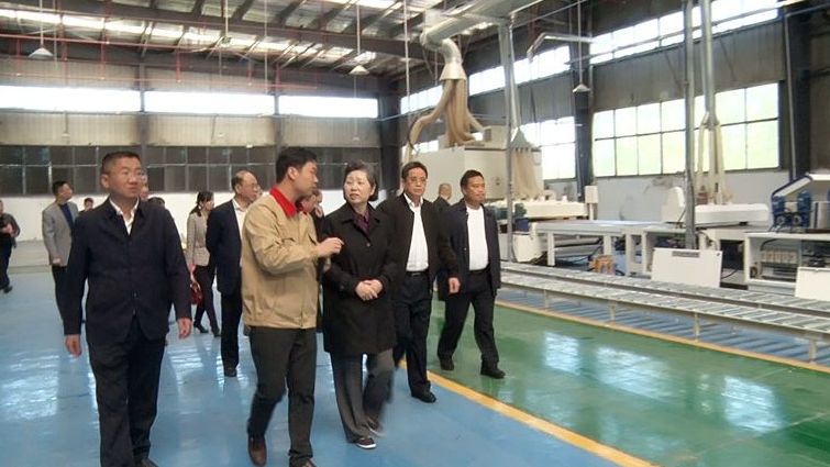 省政协副主席袁新华到我县调研