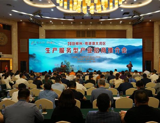 2019年湖南-粤港澳大湾区投资贸易洽谈周：我县现场签约项目三个 投资超5亿元