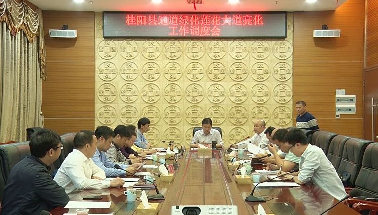 县通道绿化及莲花大道亮化工作调度会