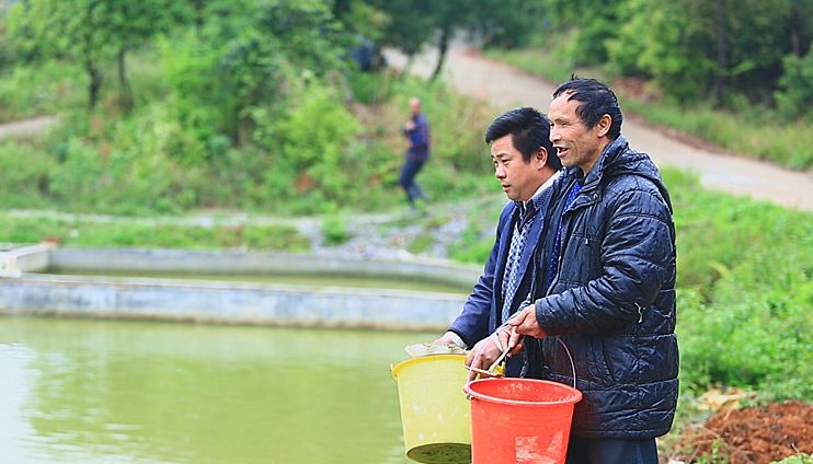 脱贫户胡用武的“春天”