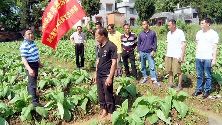 【新时代文明实践在桂阳】仁义镇开展新时代文明实践活动