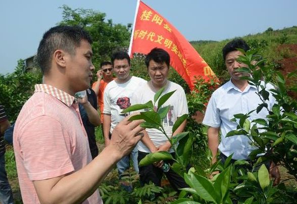 桂阳：汇聚志愿力量打通新时代文明实践基层服务