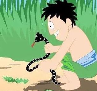 我县破获一起非法猎捕野生动物案