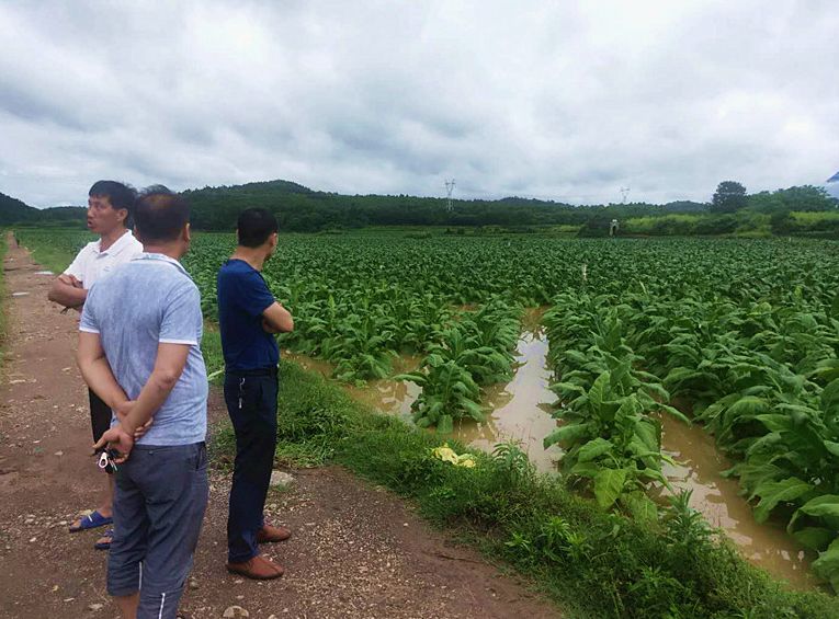 龙潭街道：扎实做好防汛救灾工作