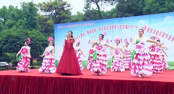 我县开展庆祝新中国成立七十周年“舂陵放歌”暨计生协会员活动日宣传服务活动
