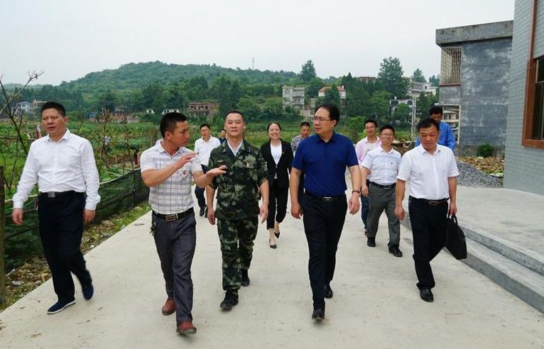 朱阳辉深入部分乡镇督导脱贫攻坚等工作