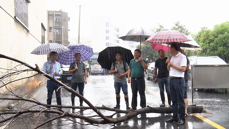 县领导巡查边坡、建筑工地和地质灾害隐患点