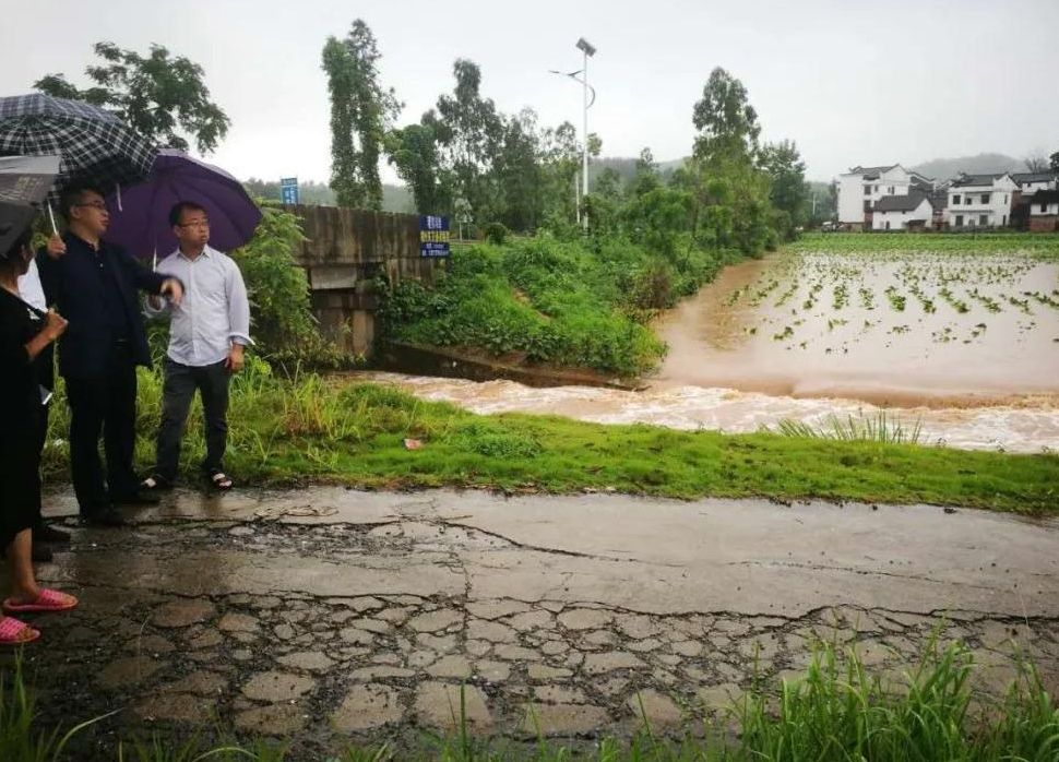 桂阳暴雨5万群众受灾  干部职工一线抗灾