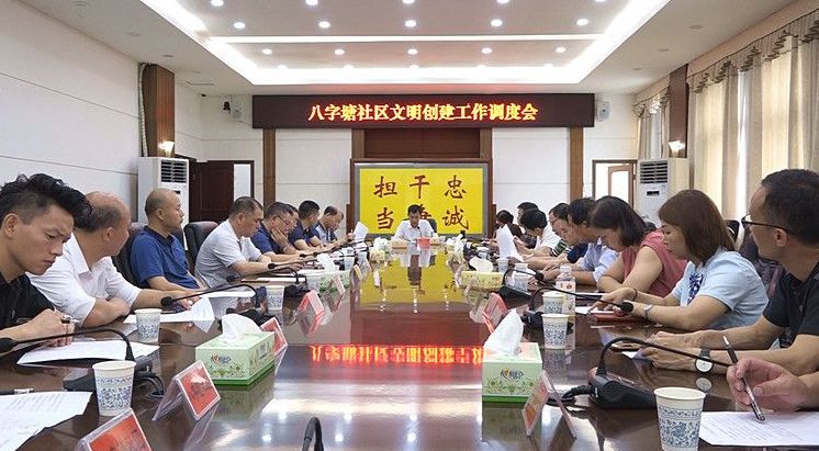 县领导调度八字塘社区文明创建工作 